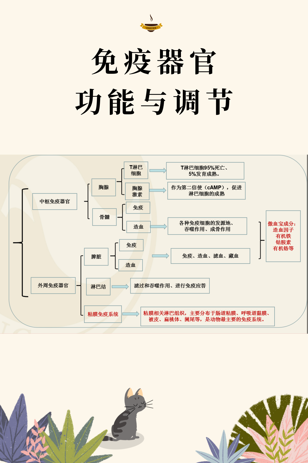 篮球基本规则讲解