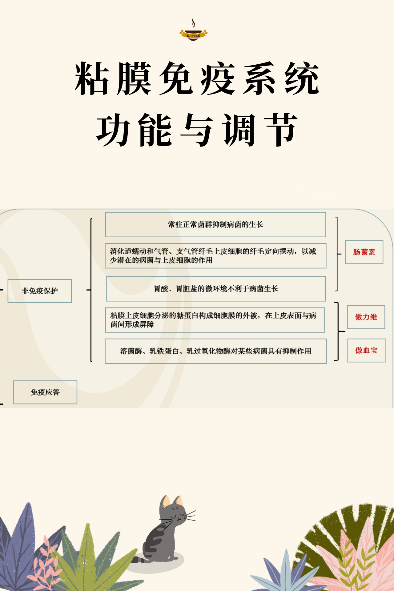 篮球基本规则讲解