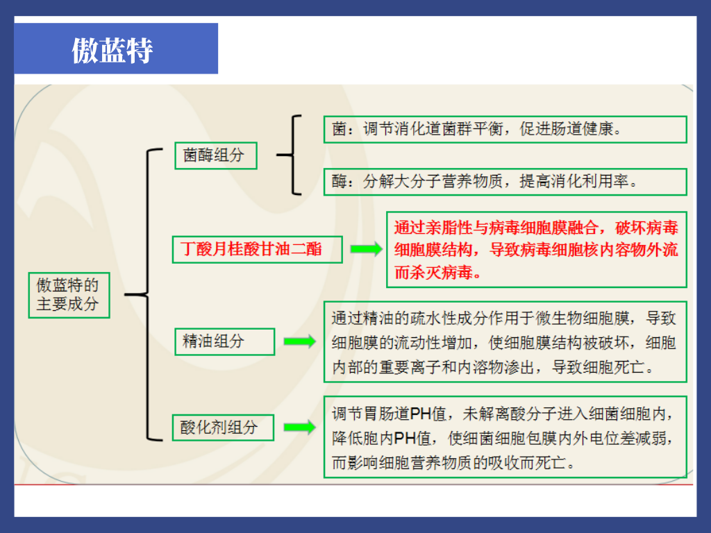 篮球基本规则讲解