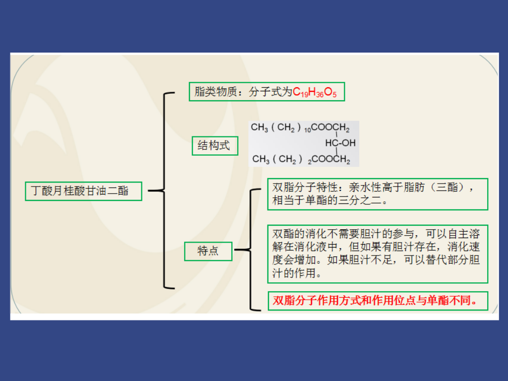 篮球基本规则讲解