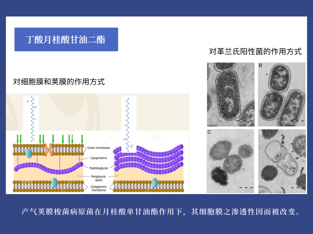 篮球基本规则讲解