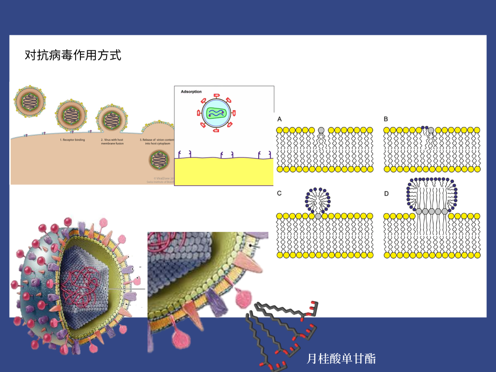 篮球基本规则讲解