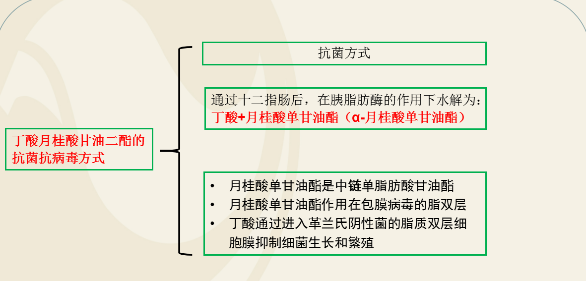 篮球基本规则讲解