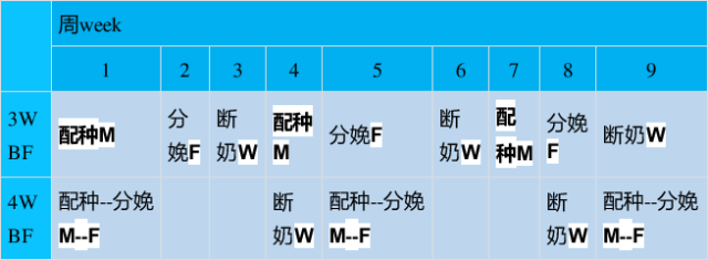 篮球基本规则讲解