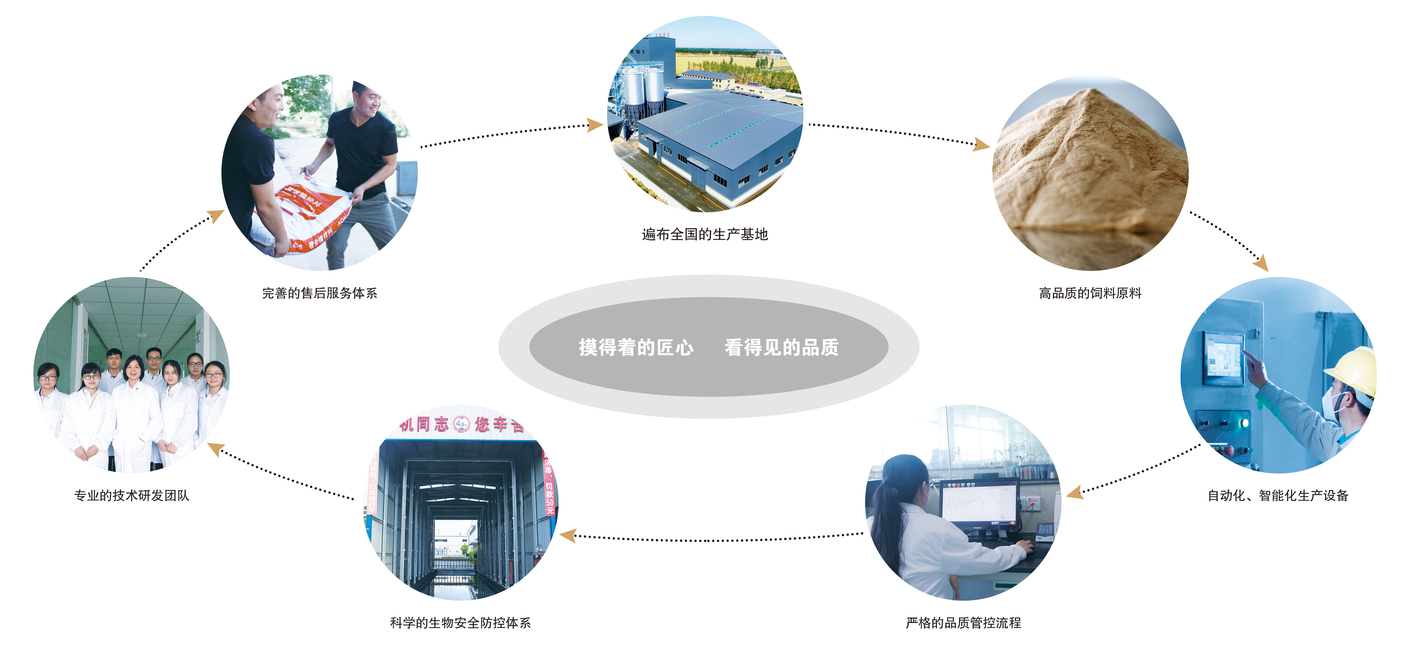 篮球基本规则讲解